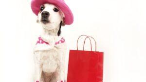 Estratégia de Marketing Digital para o Dia dos Animais